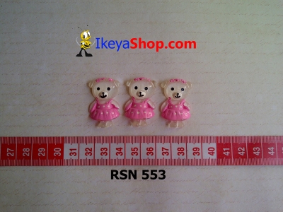rsn 553  large2